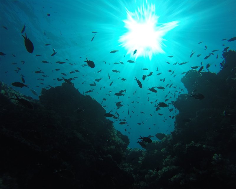 Divesite Image