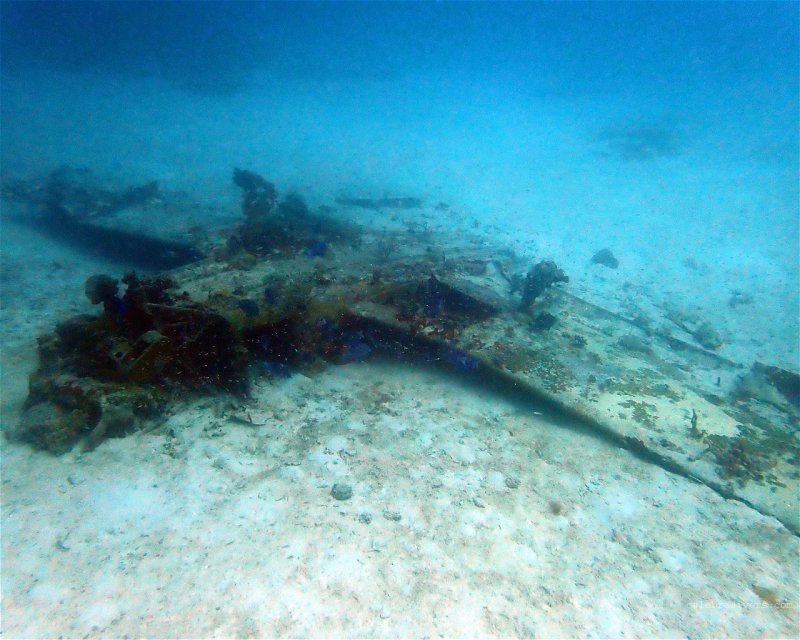 Divesite Image