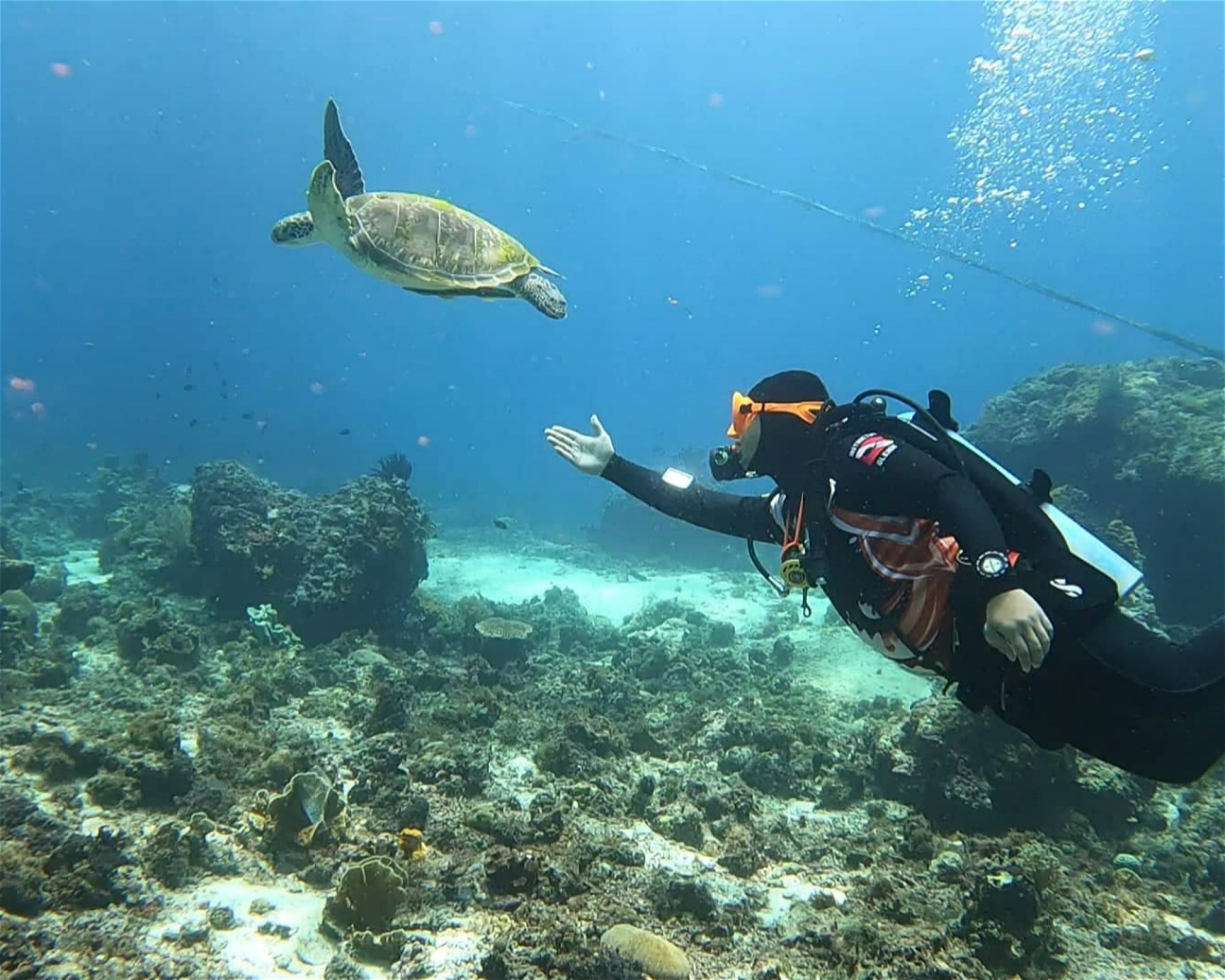 E&Z Diving Center, 6015 Lapu-lapu City