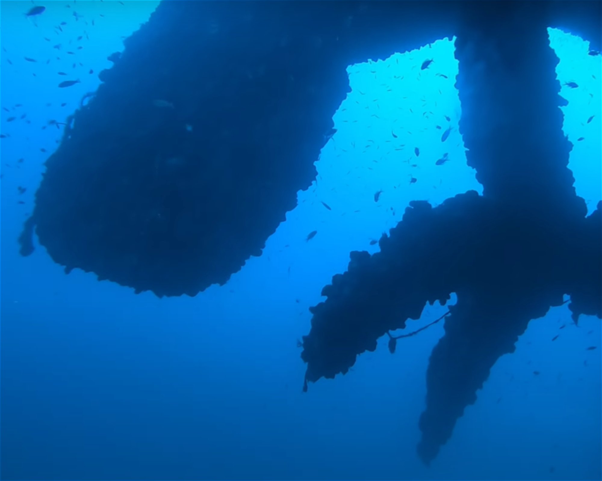 MASSUB DIVING CENTER - PORTOFINO, 16033 LAVAGNA