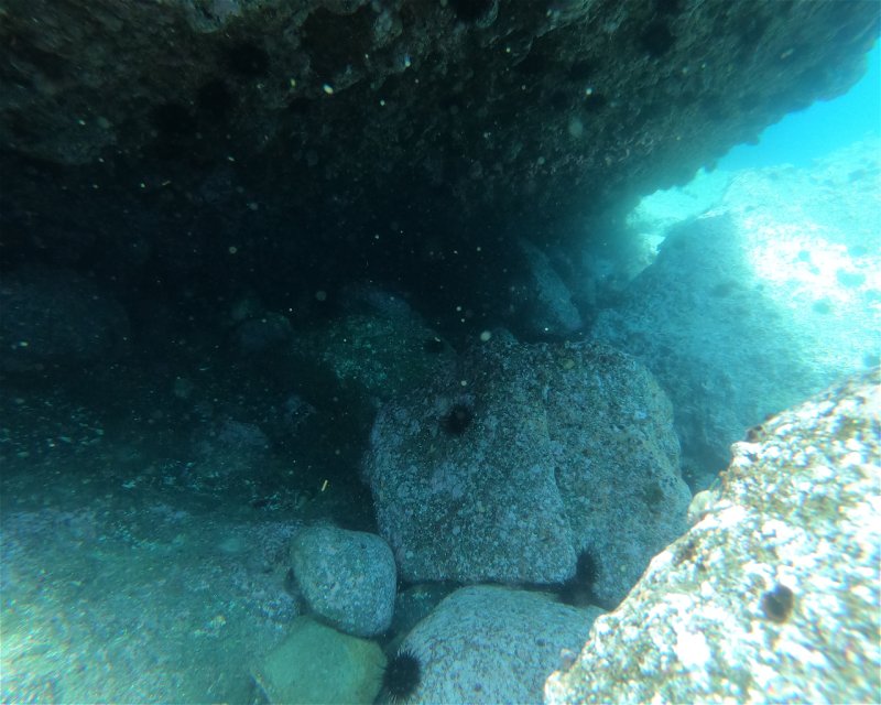 Divesite Image