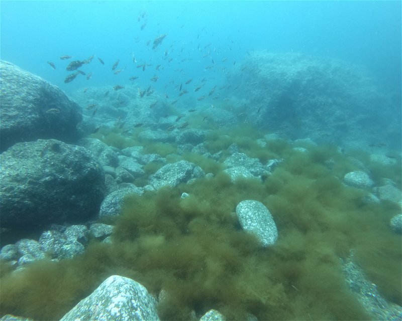 Divesite Image