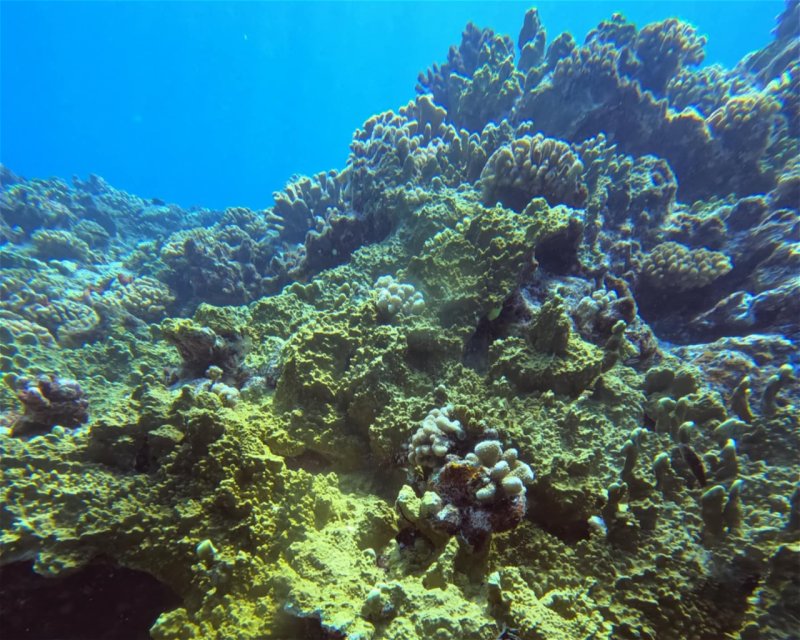 Divesite Image