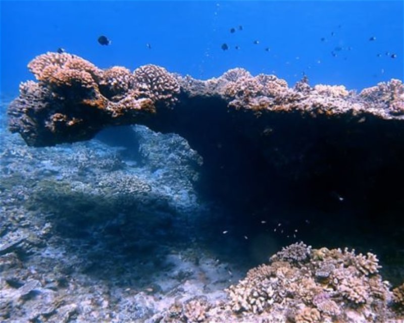 Divesite Image