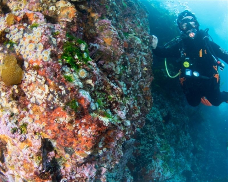 Divesite Image