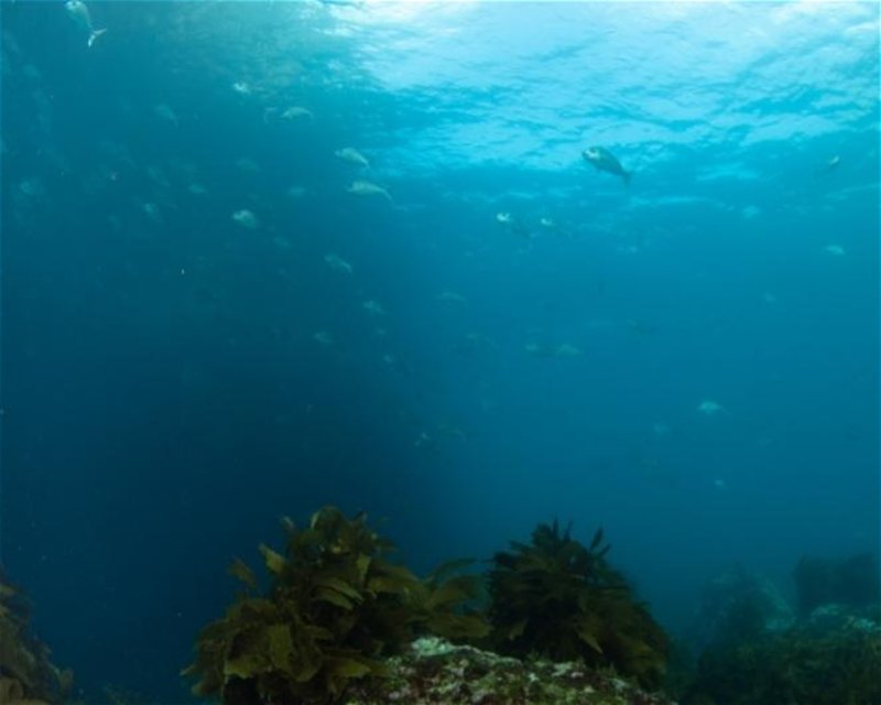 Divesite Image