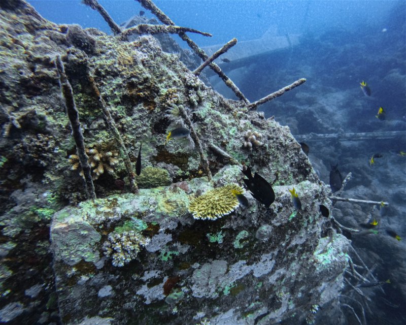 Divesite Image