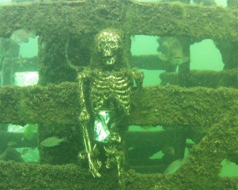 Divesite Image