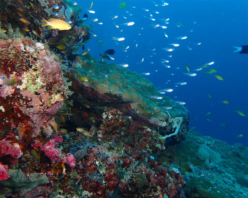 Divesite Image
