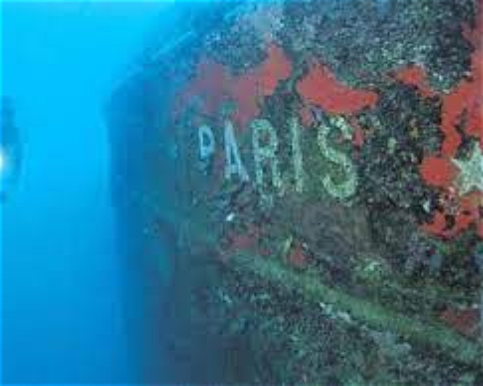 Deep Walker Diving, 07000 Antalya