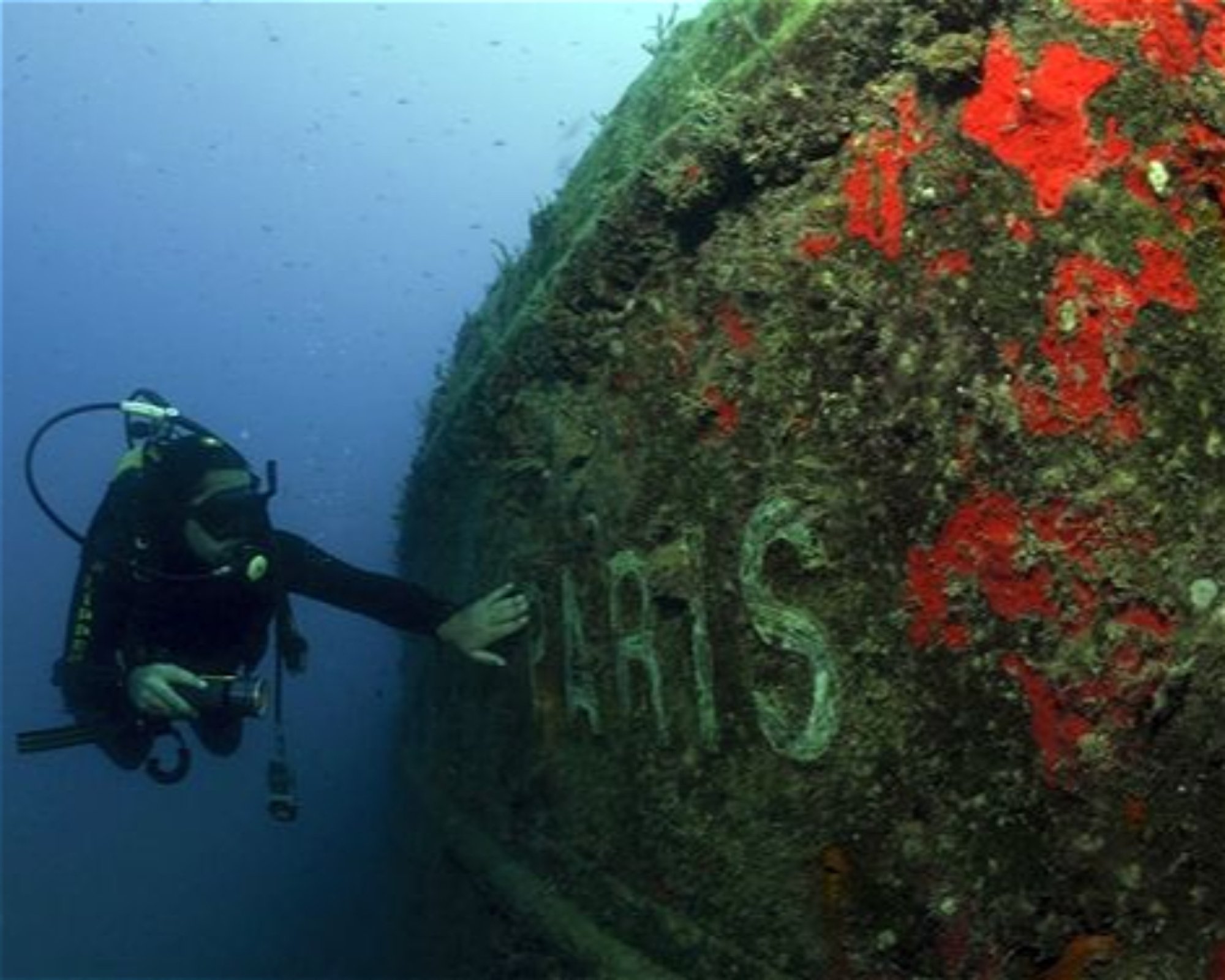 Deep Walker Diving, 07000 Antalya