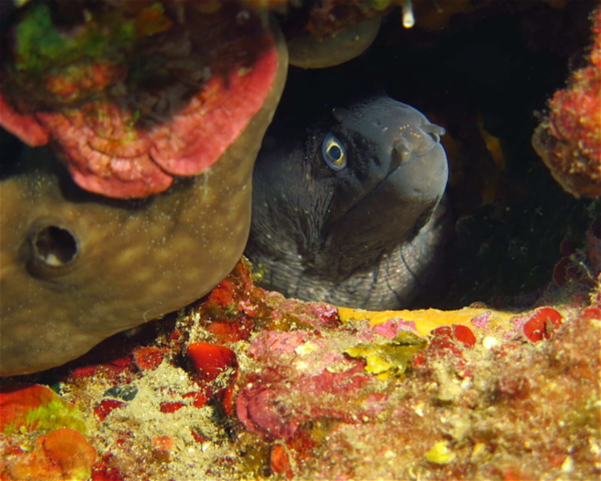 PAROS DIVING CENTER, 84400 PAROS