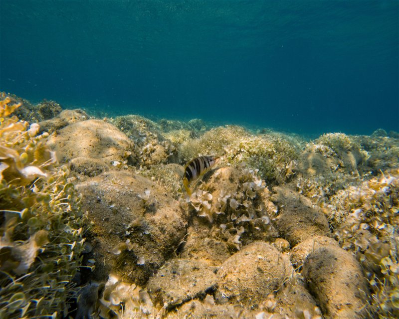 Divesite Image