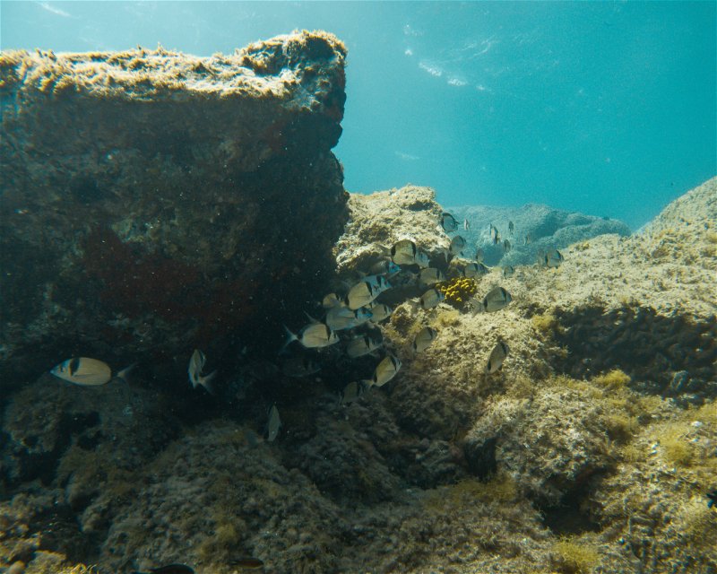 Divesite Image