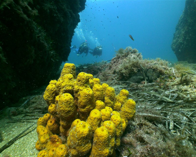Divesite Image