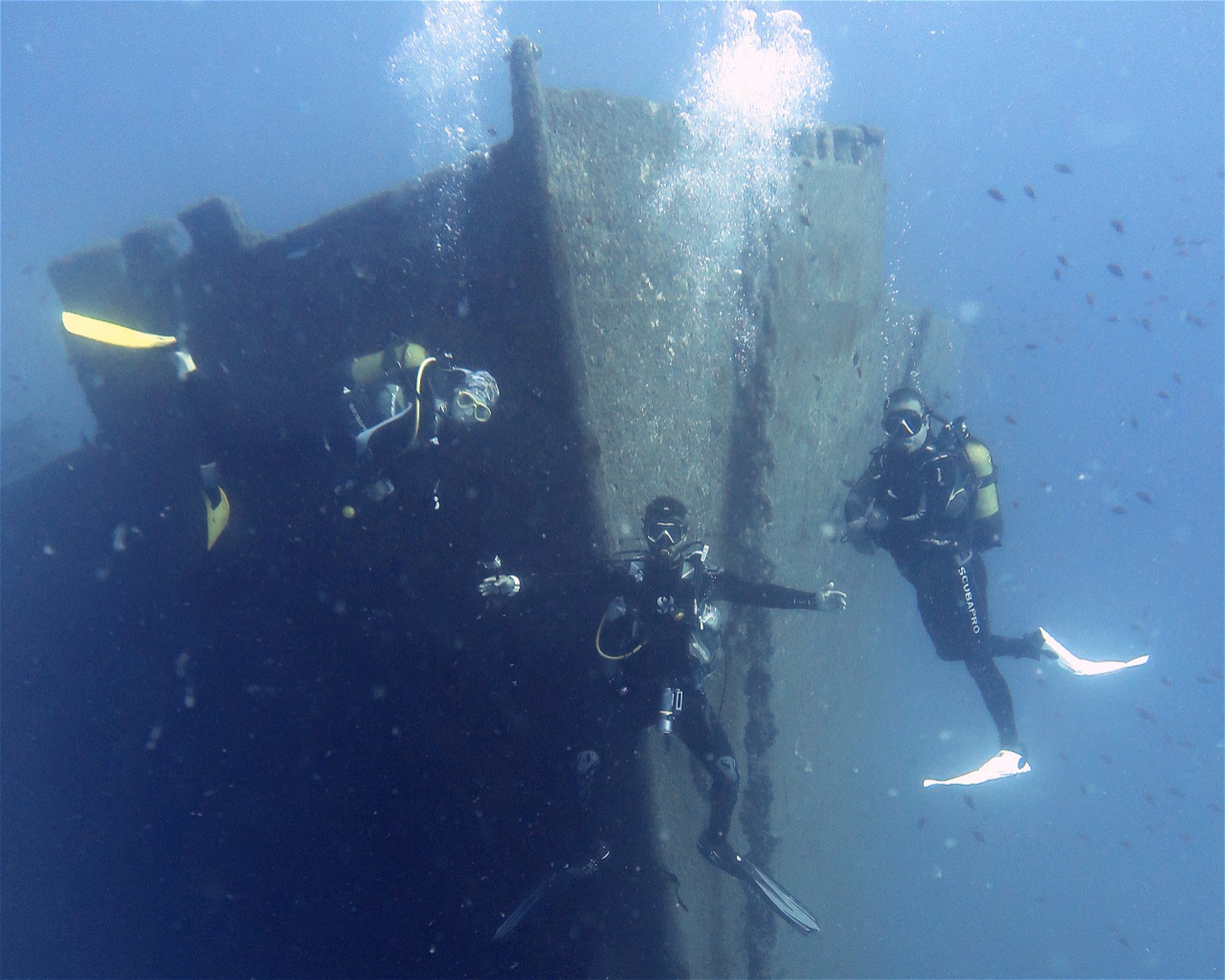 Deep Walker Diving, 07000 Antalya