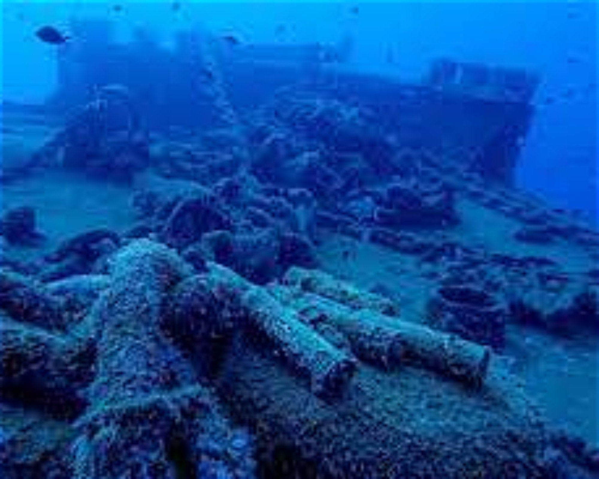 Deep Walker Diving, 07000 Antalya