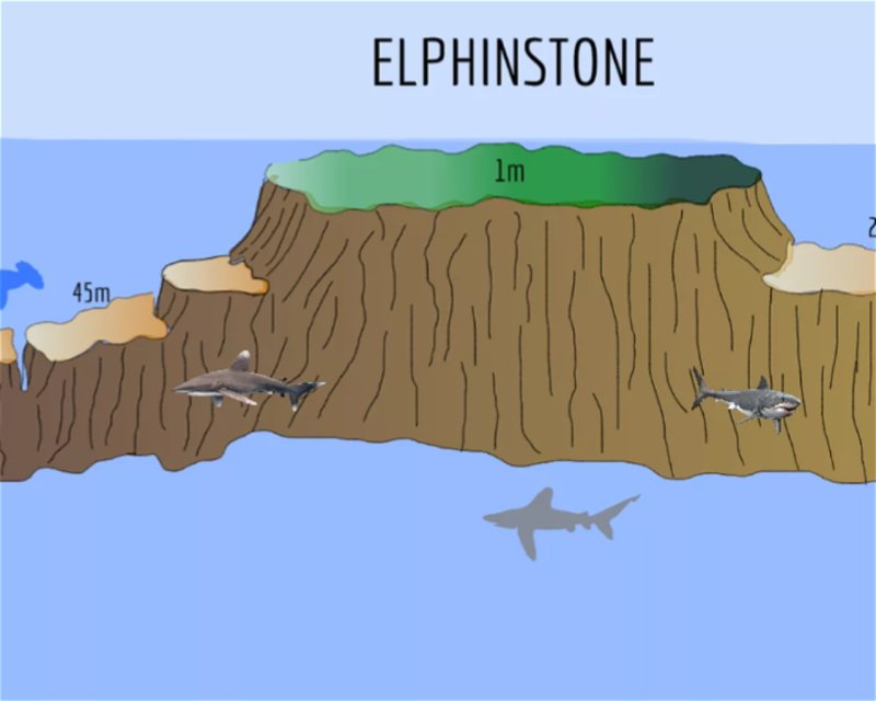 Divesite Image