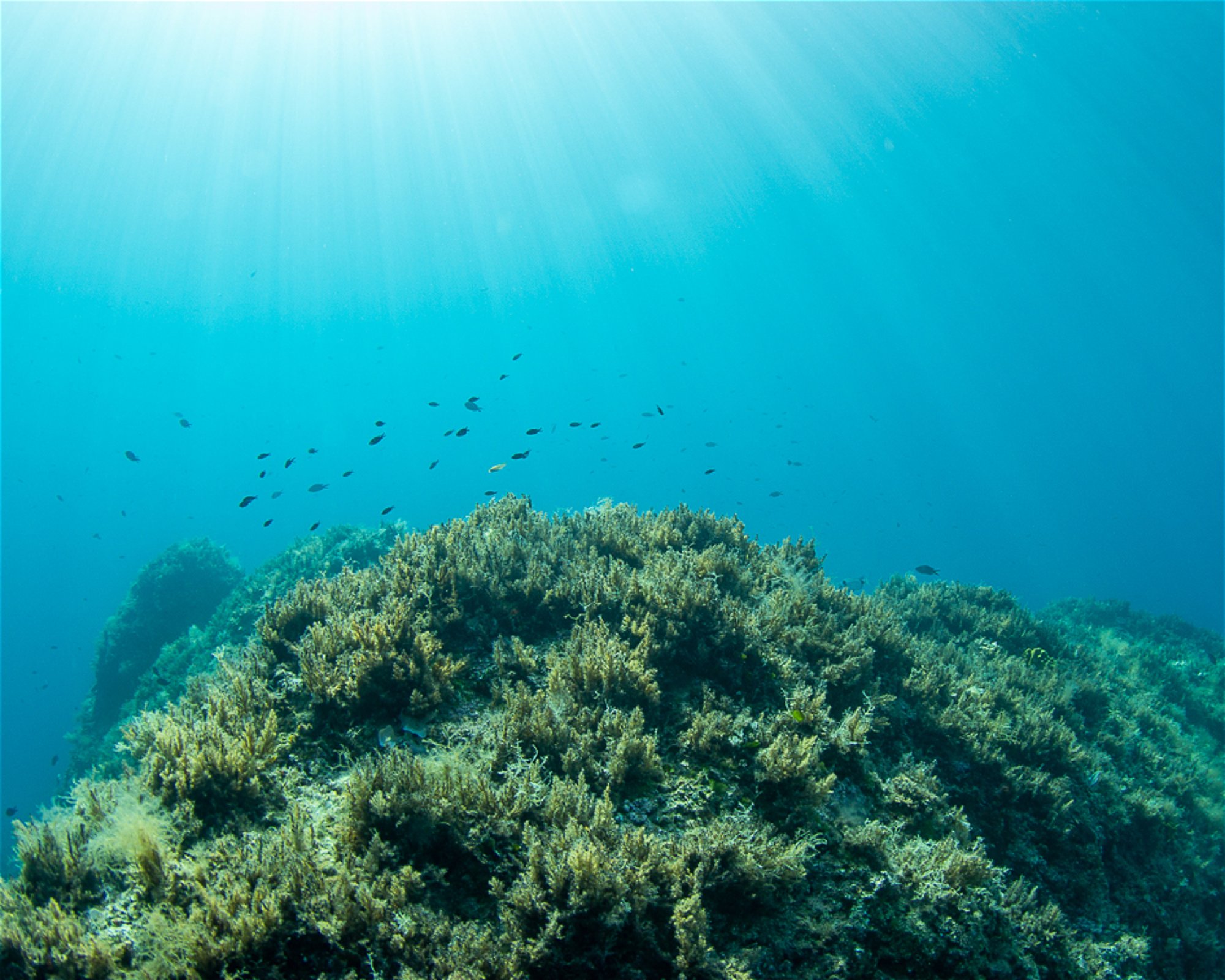 Dive Loft Krk, 51516 Vrbnik
