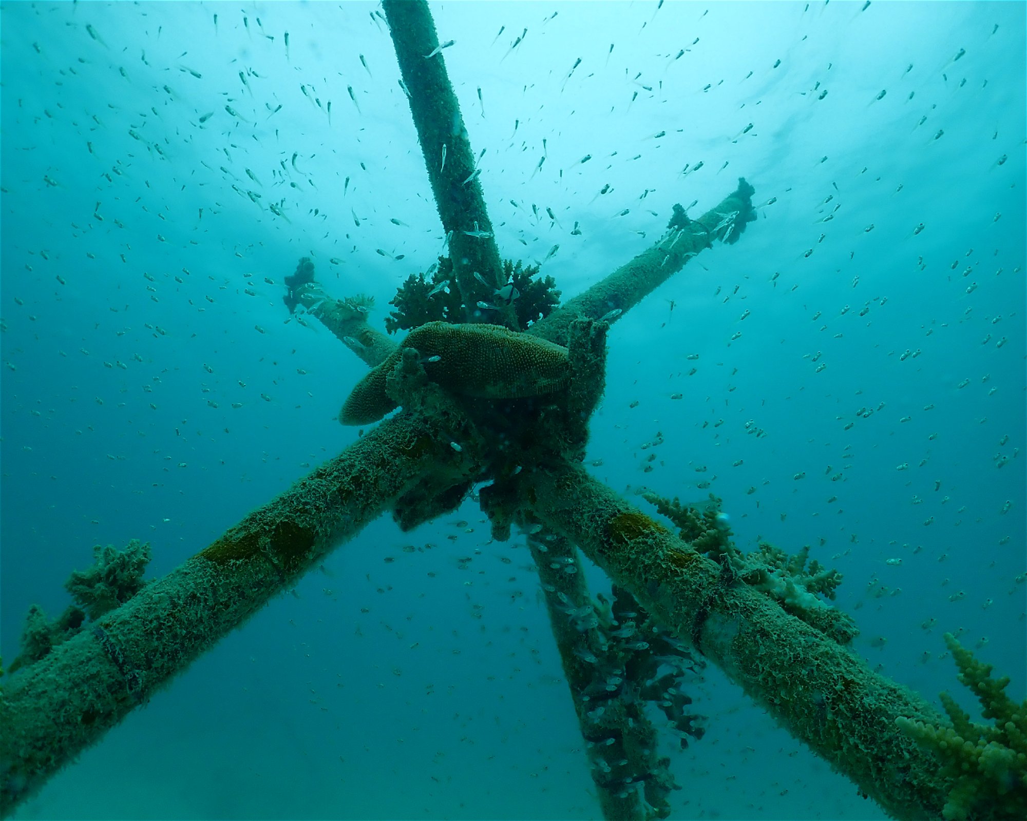 Sub Oceanic at Hilton Maldives Amingiri, 20188 North Male Atoll