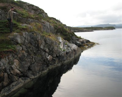 Hekkingen middle <span class="text-color-primary text-sm"> (★4.5)</span>
