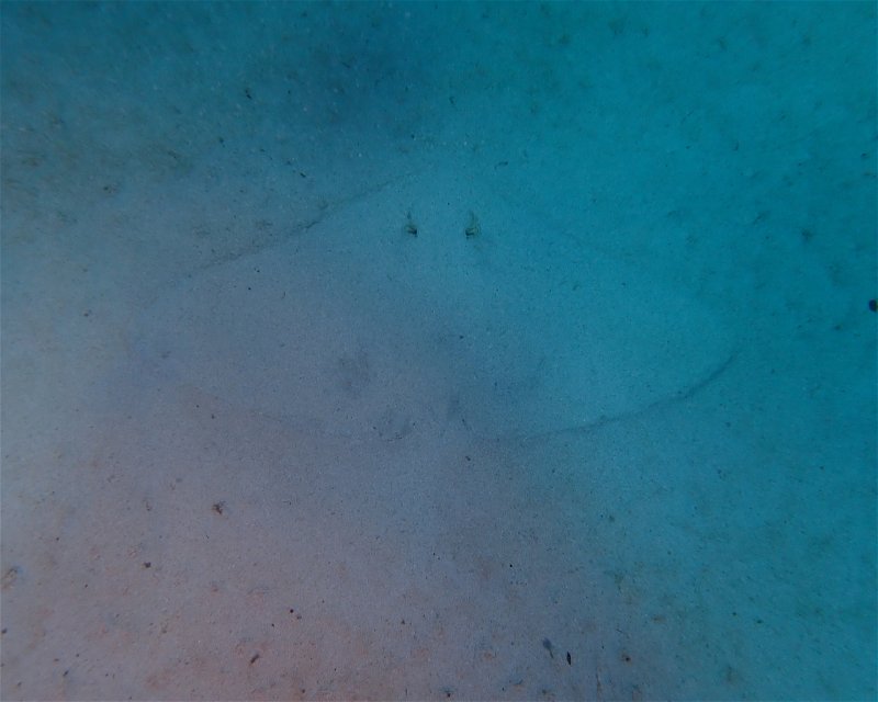 Divesite Image