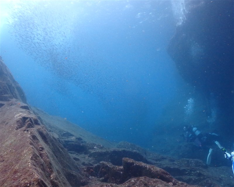 Divesite Image
