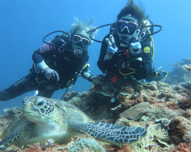Divesite Image