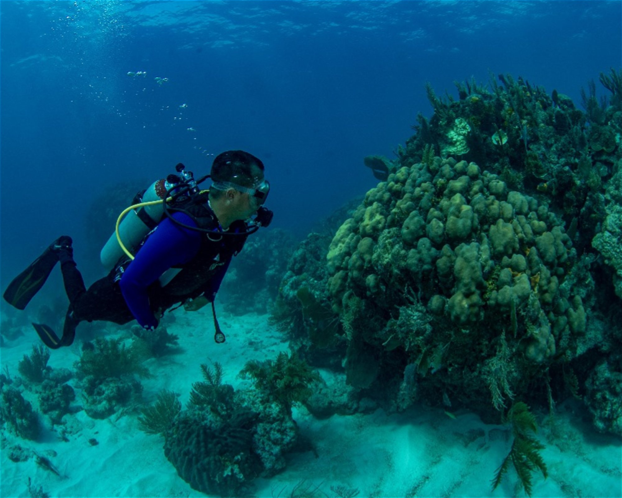 DeepSee Adventure, 77580 Puerto Morelos