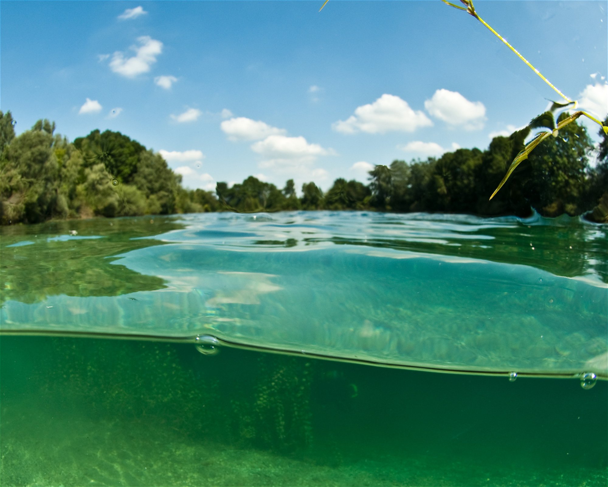 BEYOND DIVING, 85598 Baldham bei München
