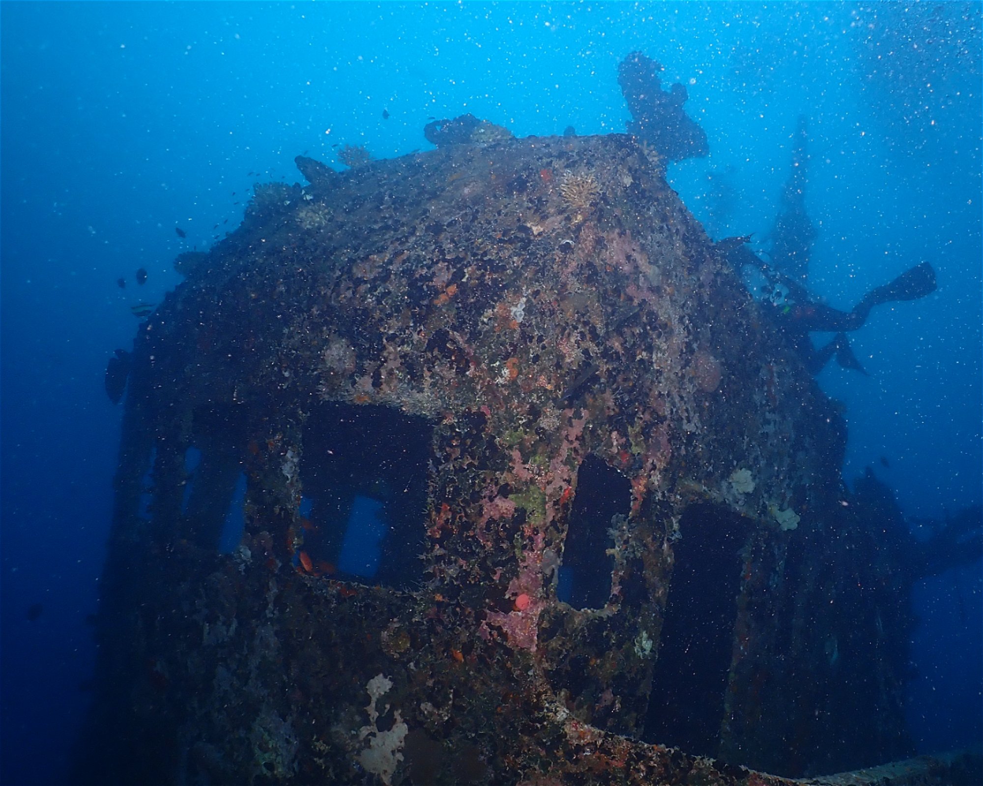 Dive Mission Joy, 08080 K. kasanfaru Lagoon