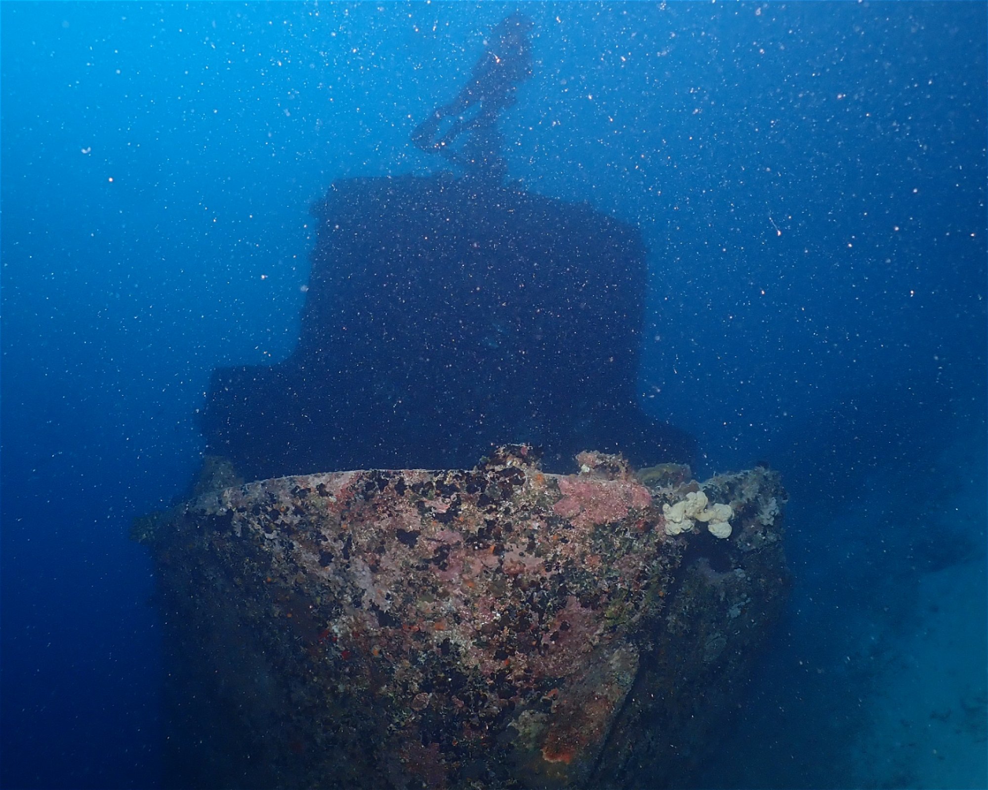 Dive Mission Joy, 08080 K. kasanfaru Lagoon