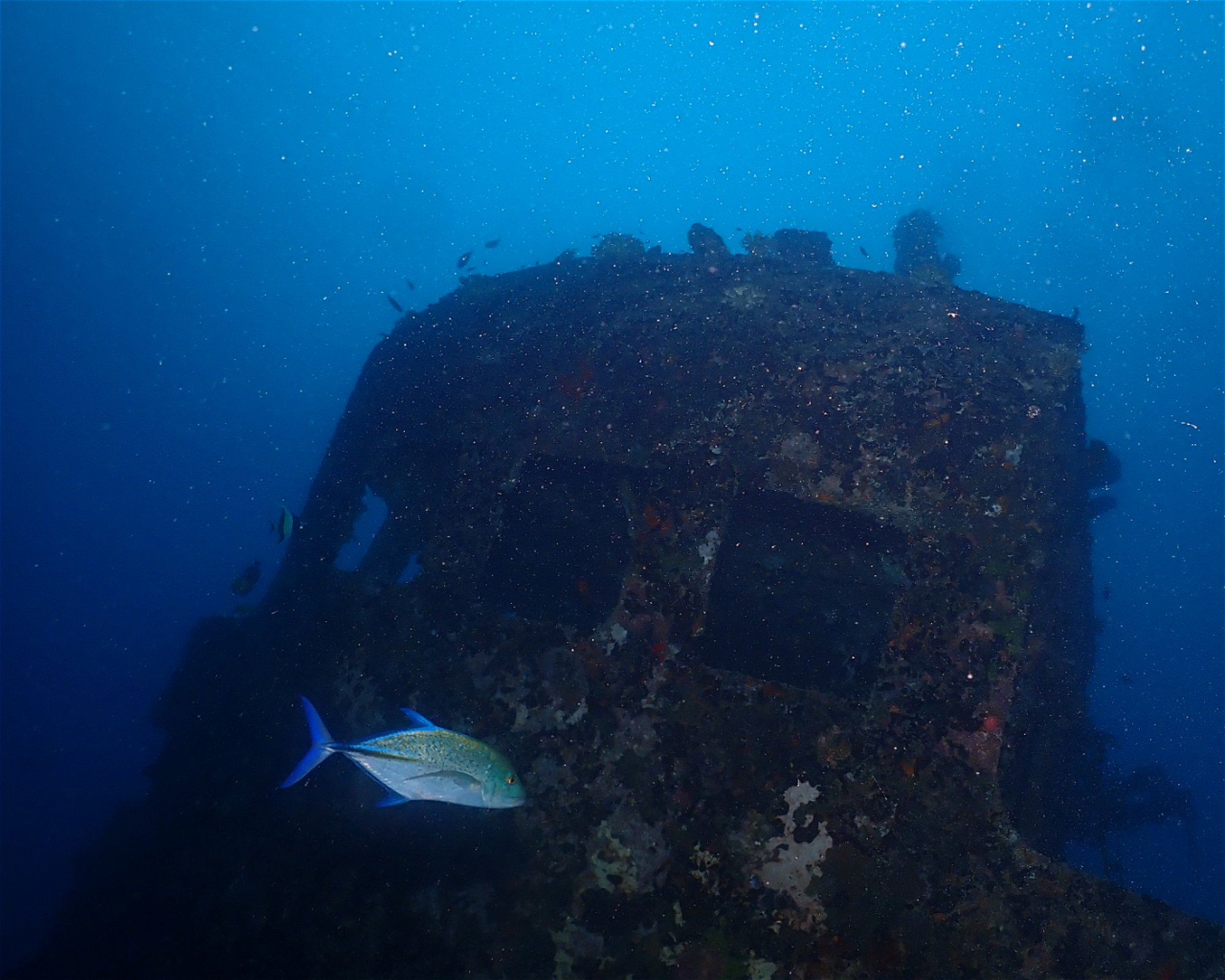 Dive Mission Joy, 08080 K. kasanfaru Lagoon
