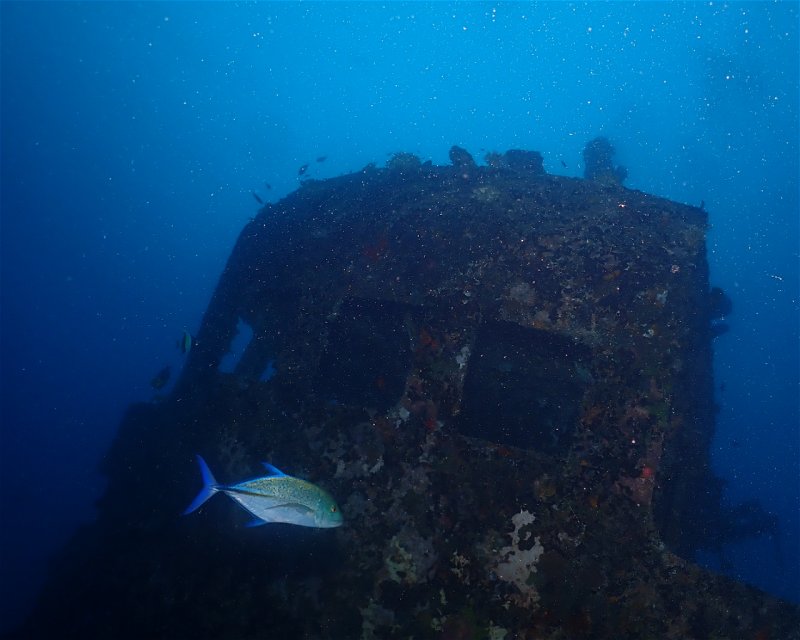 Divesite Image