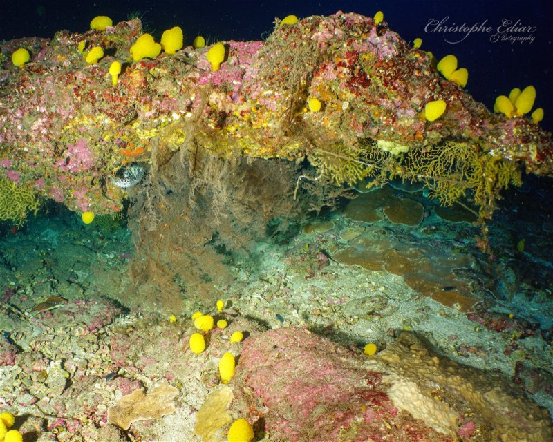 Divesite Image