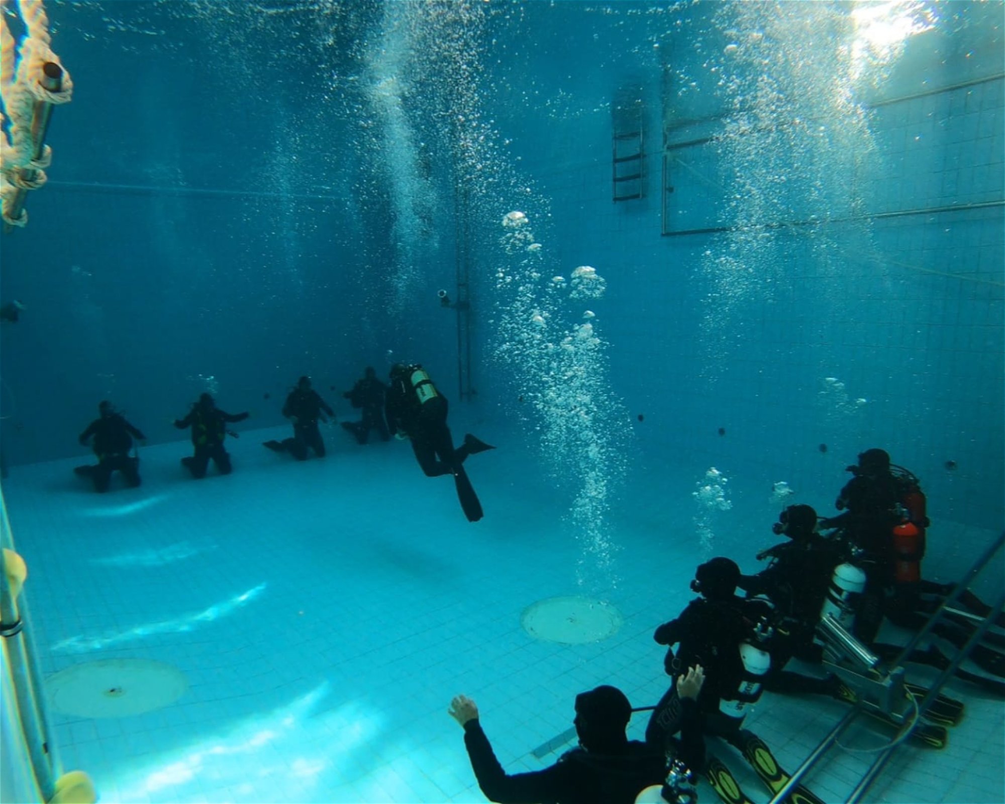 Scuba Tribe Dive Center, 905502 Jupiter