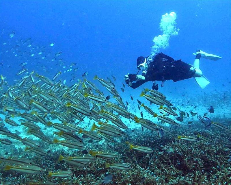 Divesite Image