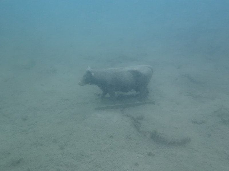 Divesite Image