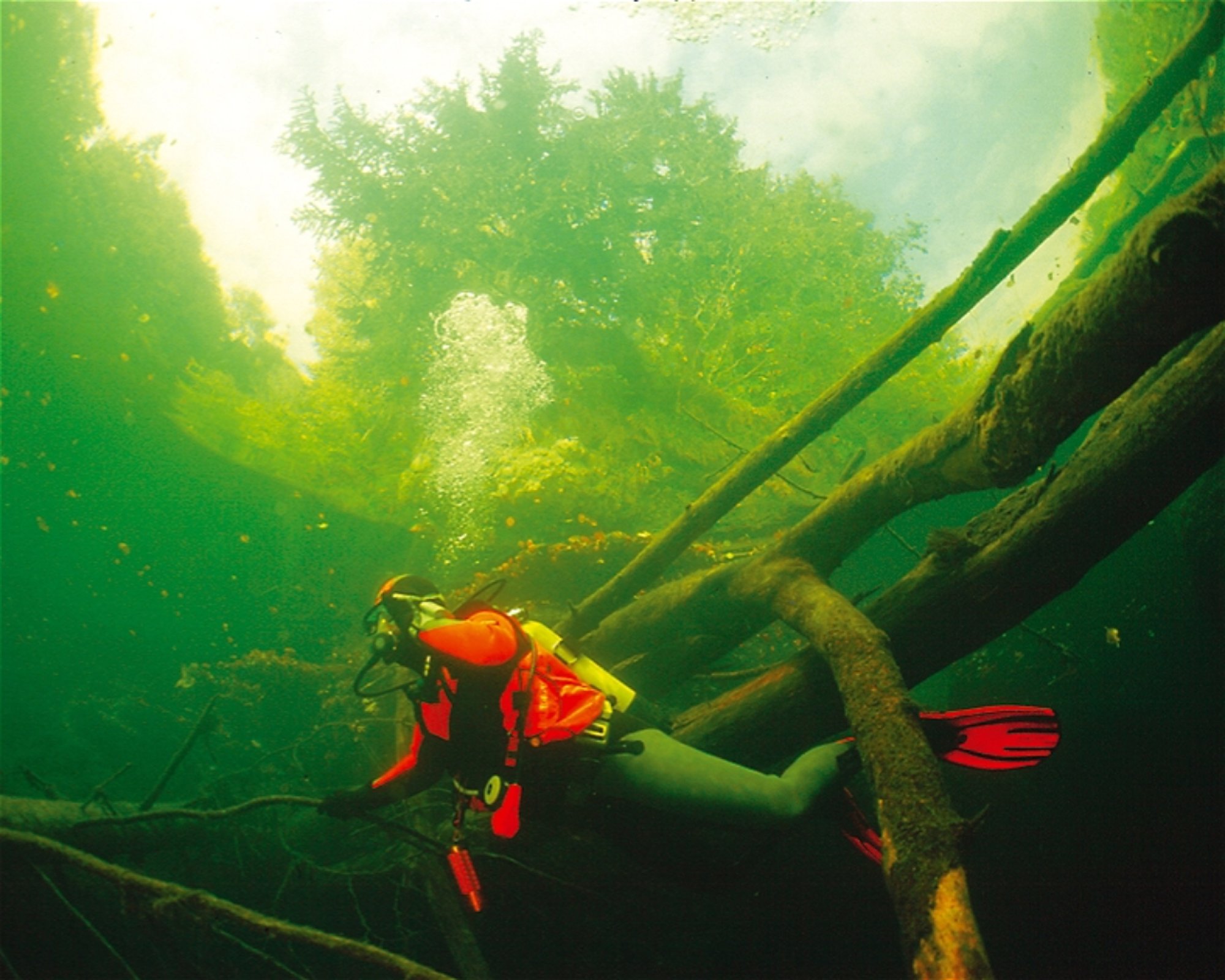ATLANTIS QUALIDIVE, 4693 Desselbrunn