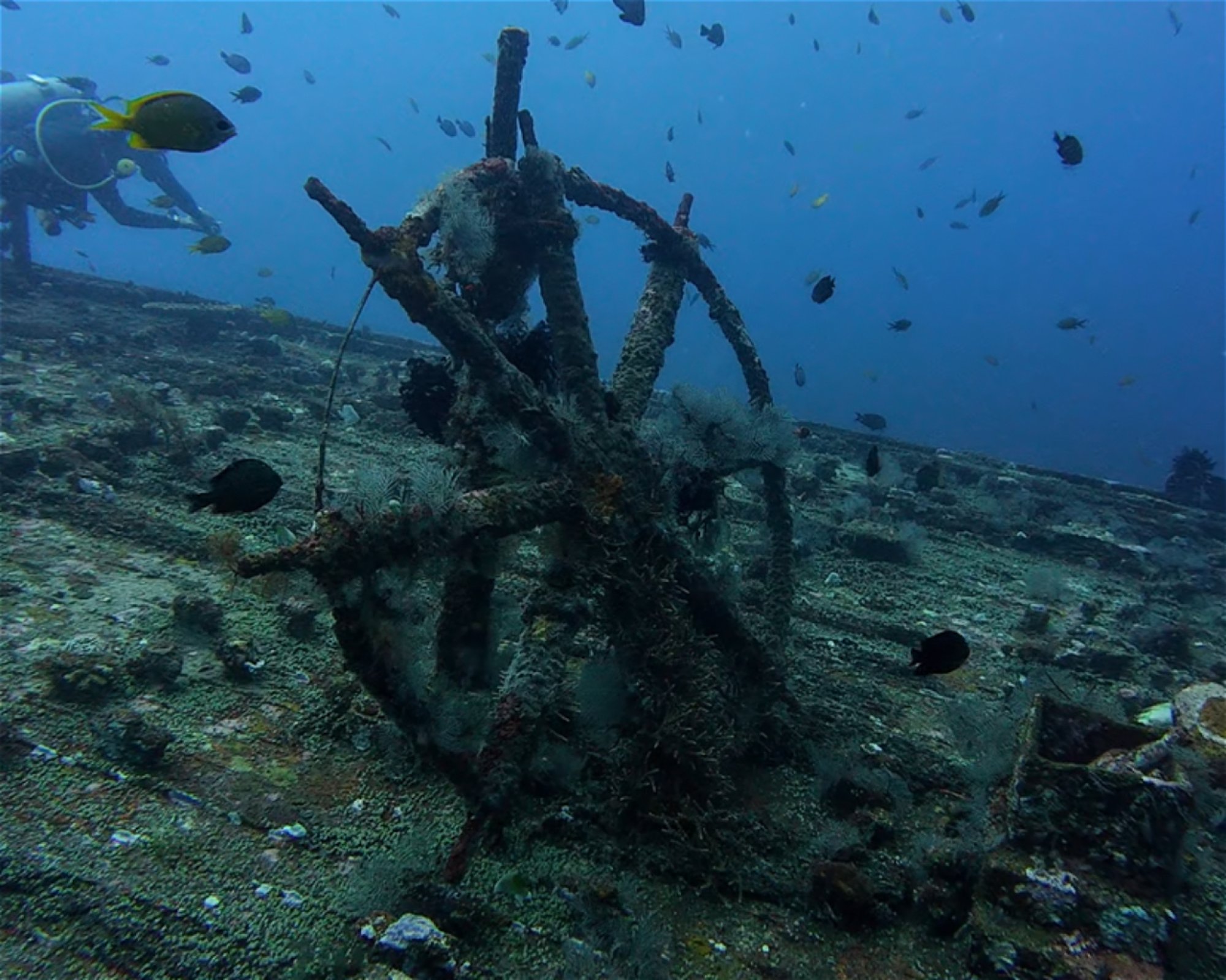 Amed Jepun Divers, 80852 Amed, Karangasem