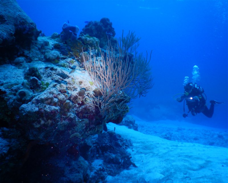 Divesite Image