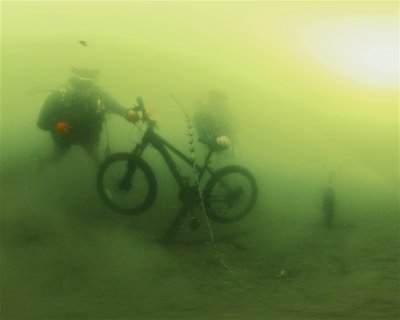 Scuba Divers Paradise Training Playground <span class="text-color-primary text-sm"> (★4.2)</span>