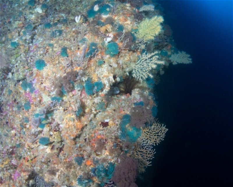Divesite Image