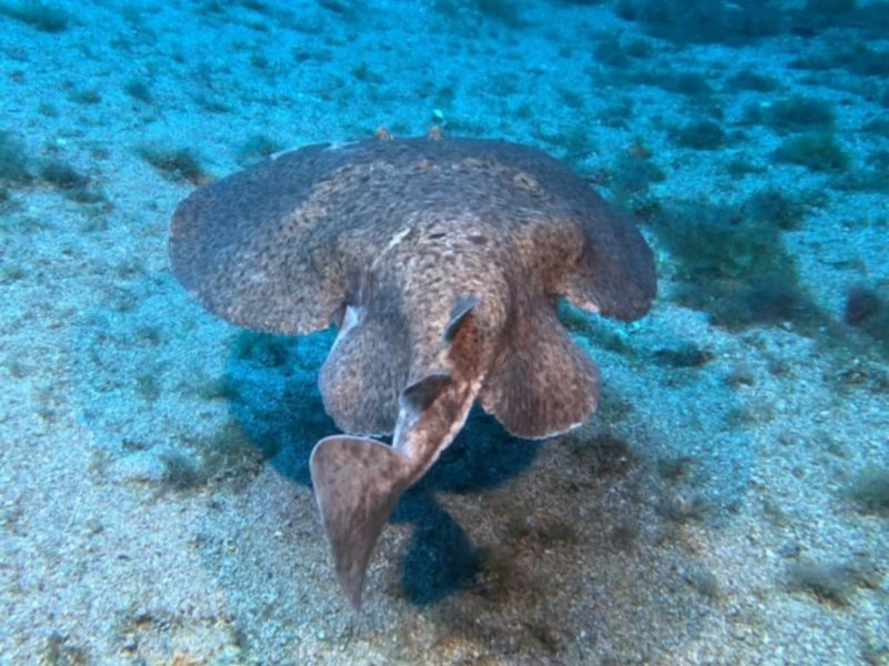 Divesite Image