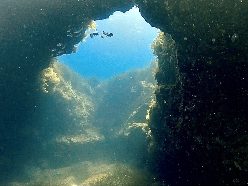 Divesite Image