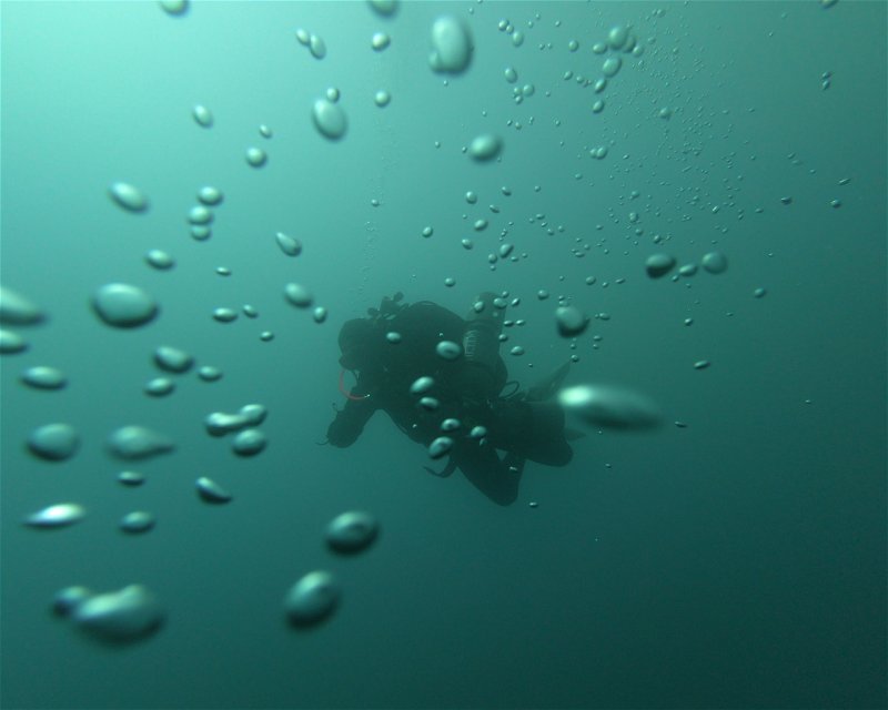 Divesite Image