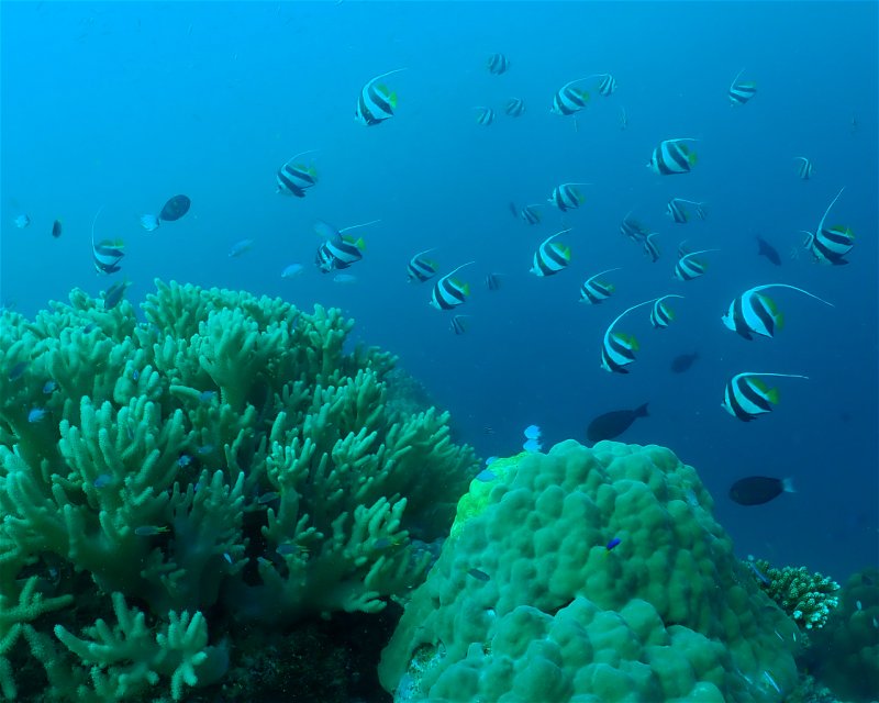 Divesite Image