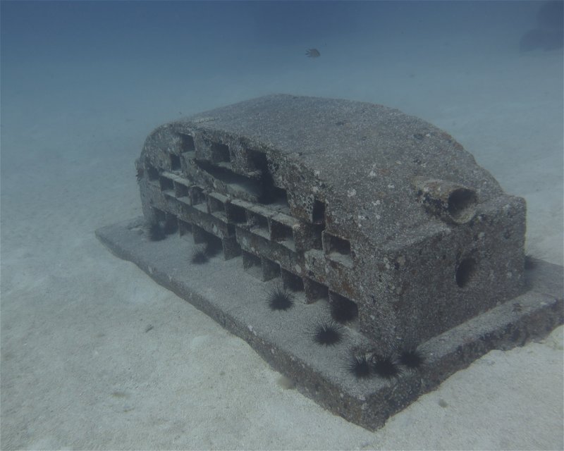 Divesite Image
