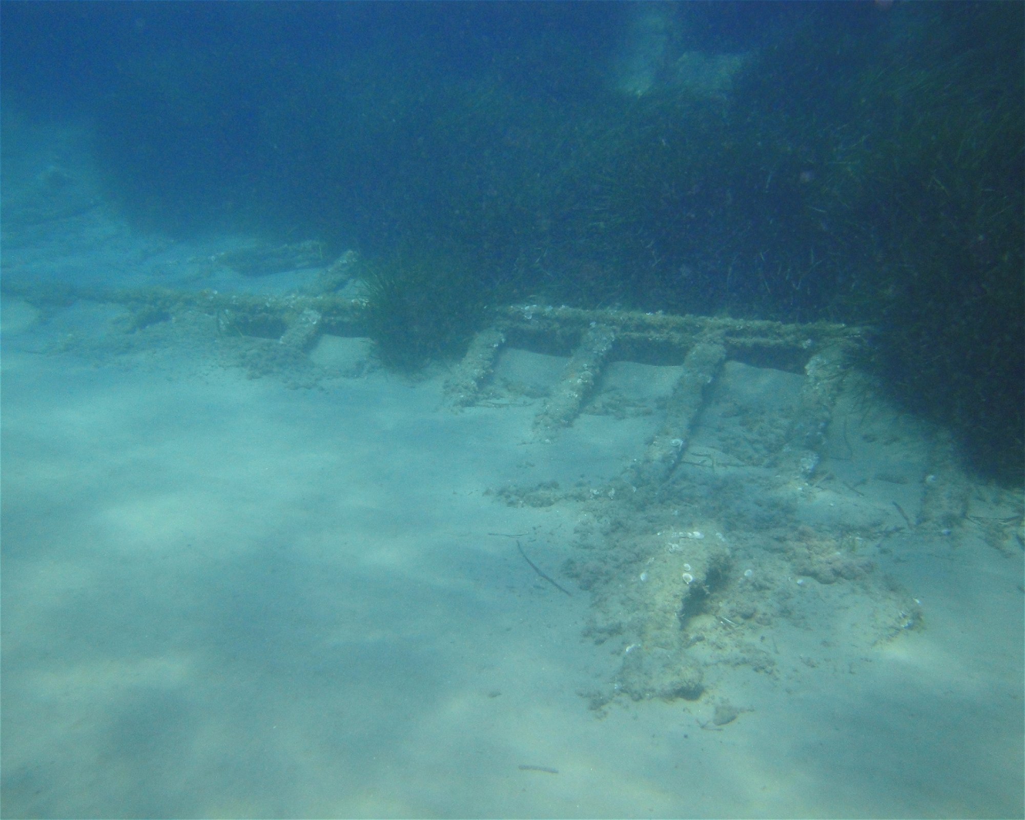 Borgo Marina Diving a.s.d., 18100 Imperia