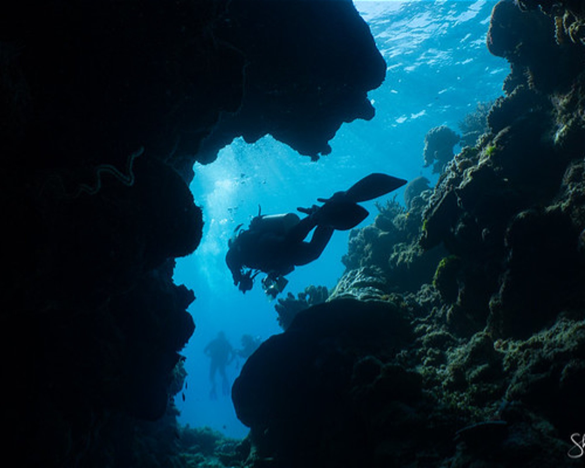 REEF SAFARI FIJI, 0000 NADI